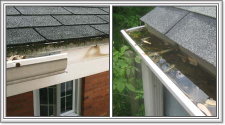 Gutter clogged or rotten